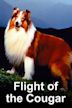 Lassie: Flight of the Cougar