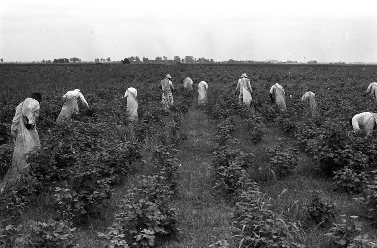 Texas' plantation prisons: Inside a 200-year history of forced labor shrouded in secrecy