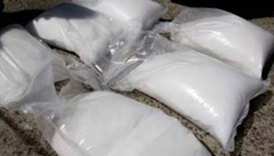 CBI detains German national of Indian origin with 6 kg cocaine at Delhi airport