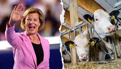 Wisconsin dairy farmer fact checks Democrat Senator Tammy Baldwin's 'coattail' claim that she has their 'back'