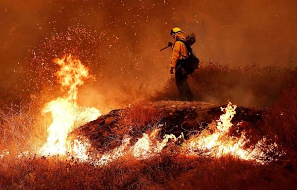 Flames in Line fire in San Bernardino Mountains slow to a crawl