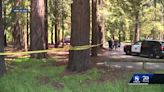 Man arrested for homicide after Santa Cruz park stabbing