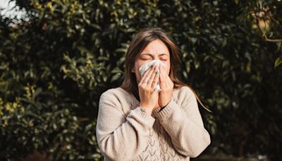 Are your seasonal allergies sticking around longer than usual? An allergist explains why.