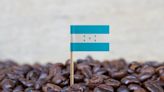 Recaudación por exportación de café hondureño cayó 11%