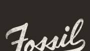 Fossil Group Inc (FOSL) Q2 2024 Earnings Call Transcript Highlights: Key Takeaways and ...