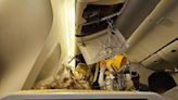 Singapore Airlines plane made 'dramatic drop', people flung upwards, says passenger