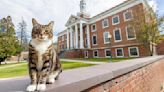 ‘Doctor of litter-ature’: College puts the ‘cat’ into ‘education’ by giving Max an honorary degree