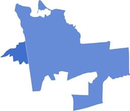 2008 United States House of Representatives elections in New York