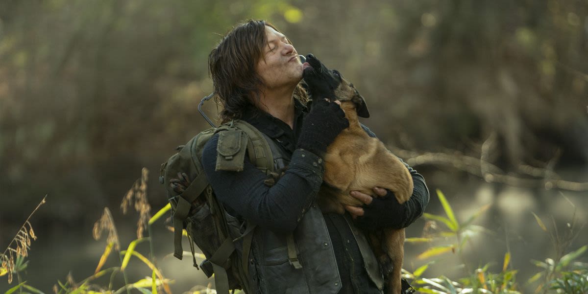 Walking Dead's Norman Reedus shares tribute to dog co-star after his death