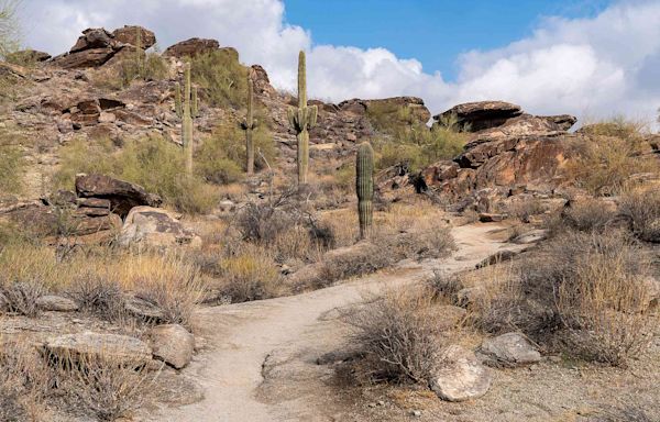 Arizona Boy, 10, Dies After Mountain Hike with Family on 113-Degree Day