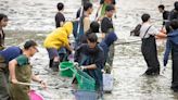 池水抽光好吃驚來台！團隊徒手抓出巨大生物