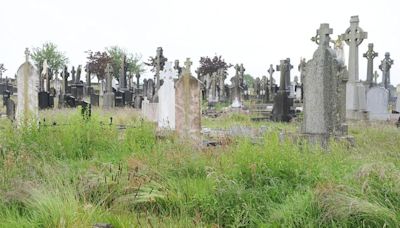 Dundalk councillors call for action on overgrown graveyard