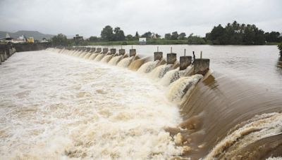 Monsoon active over central India, distribution still skewed: Meteorologists