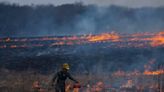 Setting prairies ablaze in springtime is key to restoring damaged ecosystems, conservationists say