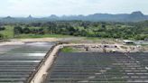 Parque de energía solar fotovoltaico Tepuy (de EPM) ya genera energía en Colombia