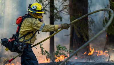 California wild fire scorches 360,000 acres - an area larger than Phoenix