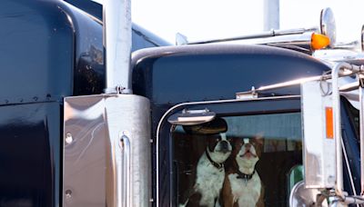 New CDC policy may affect crossborder drivers who travel with dogs