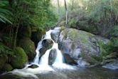 Yarra Ranges National Park