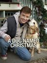 A Dog Named Christmas