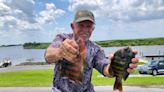 It’s a good time to fill up your livewells with bluegills from Lake Okeechobee
