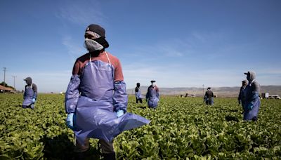 La gente que alimenta a Estados Unidos está pasando hambre