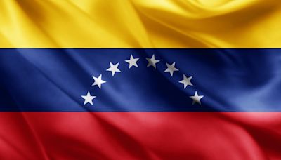 Venezolanos en el exterior: Unidos por un cambio histórico
