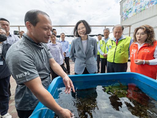 蔡英文赴澎湖親種珊瑚 盼國人重視海洋保育