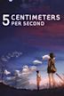 5 Centimeters per Second