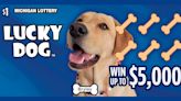 30 Michigan pups to appear on new Lucky Dog instant lottery tickets