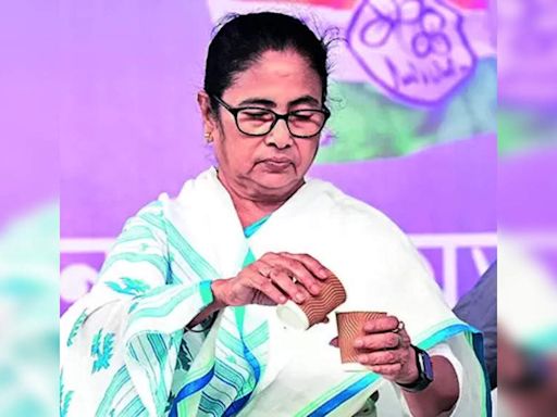 Mamata Banerjee Refuses to Accept Calcutta High Court's Verdict on OBC Categorizations | Kolkata News - Times of India