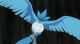 Pokemon player wins regional competition with an unexpected Articuno using one of the most baffling competitive movesets I've ever seen