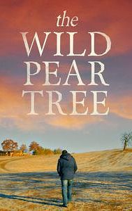 The Wild Pear Tree