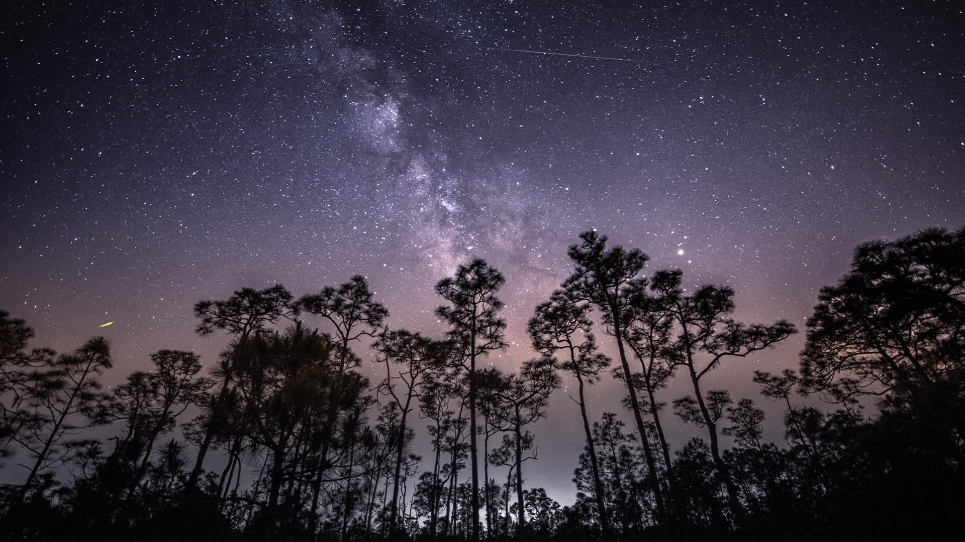 Fireballs of Halley’s Comet to fill sky with ’50 shooting stars an hour’ in days