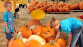 For the perfect pumpkin, fall back on these 11 places in the Wilmington area