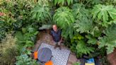 UK's most eccentric gardener crowned at B&Q Gardener of the Year Awards