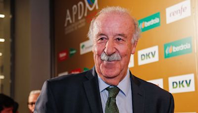 Vicente del Bosque presidirá la comisión que tutelará y supervisará el funcionamiento de la RFEF