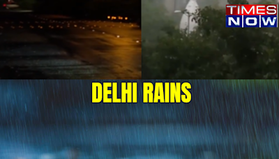 After Weeks Of Dark Cloud Cover, Early Morning Showers Refresh Parts Of Delhi-VISUALS