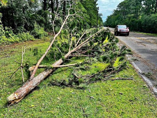 If Debby knocks a neighbor’s tree on your car, who pays for that? Here’s what SC law says