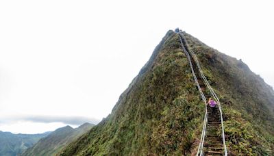 Friends of Haiku Stairs halt removal of popular, but prohibited, hiking trail
