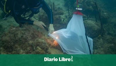 Impacto del cambio climático en la reproducción de los arrecifes de República Dominicana