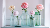 The Best Tips for Growing Gorgeous Peonies in Your Garden