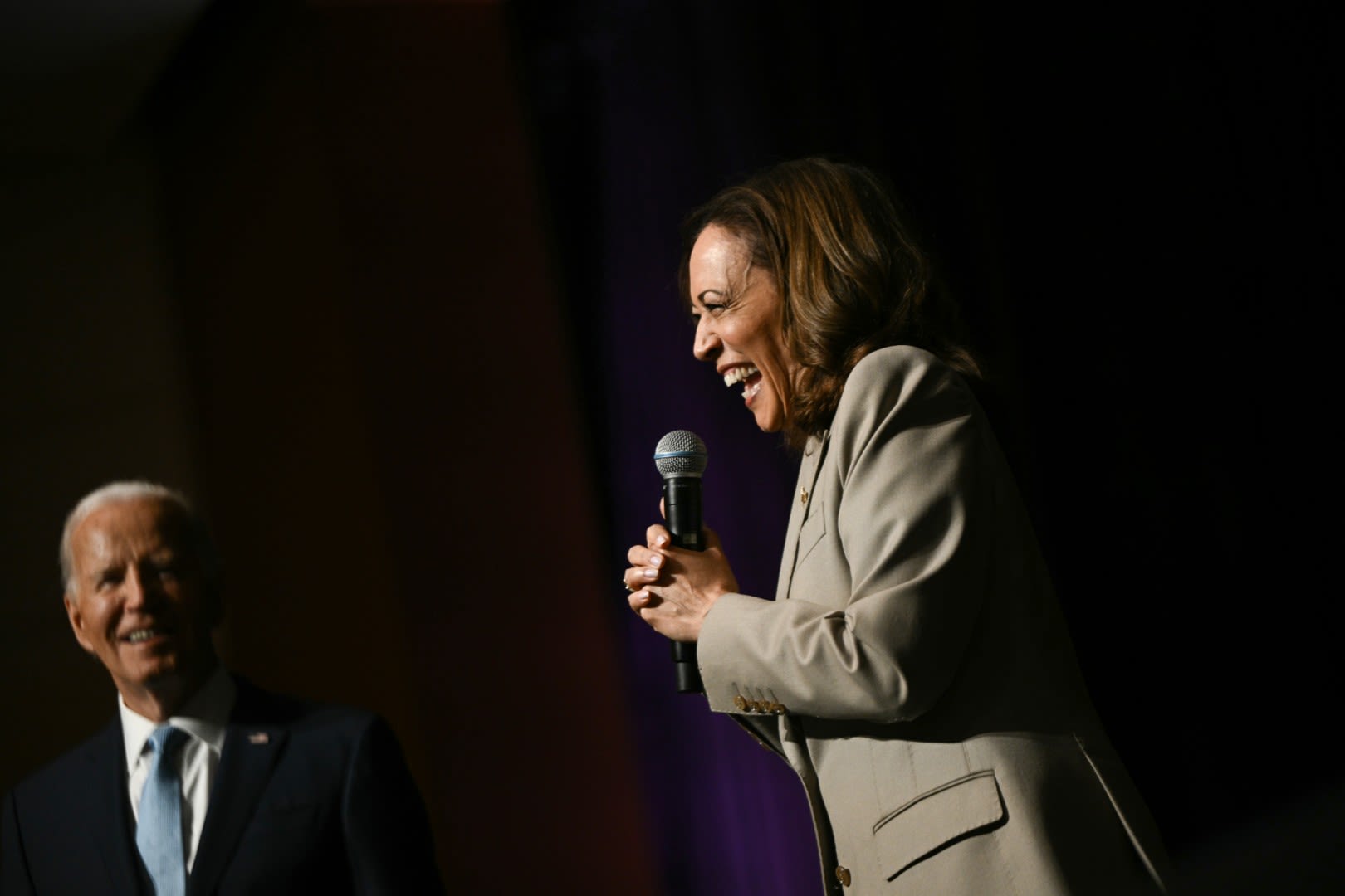 Posts baselessly inflate Harris, Biden net worth