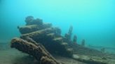 Shipwreck Found in Lake Michigan 130 Years After Sinking With Captain's 'Intelligent and Faithful' Dog Onboard