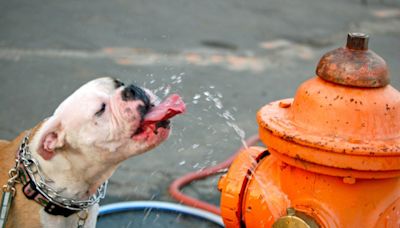 Maryland weather: Code red extreme heat alert Thursday through Saturday in Baltimore