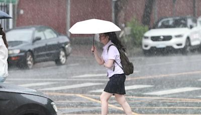 恐有颱風生成！未來一週全台濕透 吳德榮：「2地區」雨下最兇