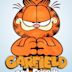 Garfield and Friends