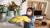 5 Cheap, Effective Ways To Get Rid of Household Pests