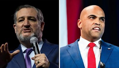 Allred outraises Cruz in latest quarter, but Cruz has more cash on hand