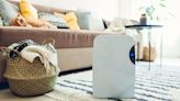The 12 Best Dehumidifiers to Keep Your Home Comfortable This Summer