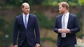 Harry not reuniting with William is 'fundamentally a matter of trust'